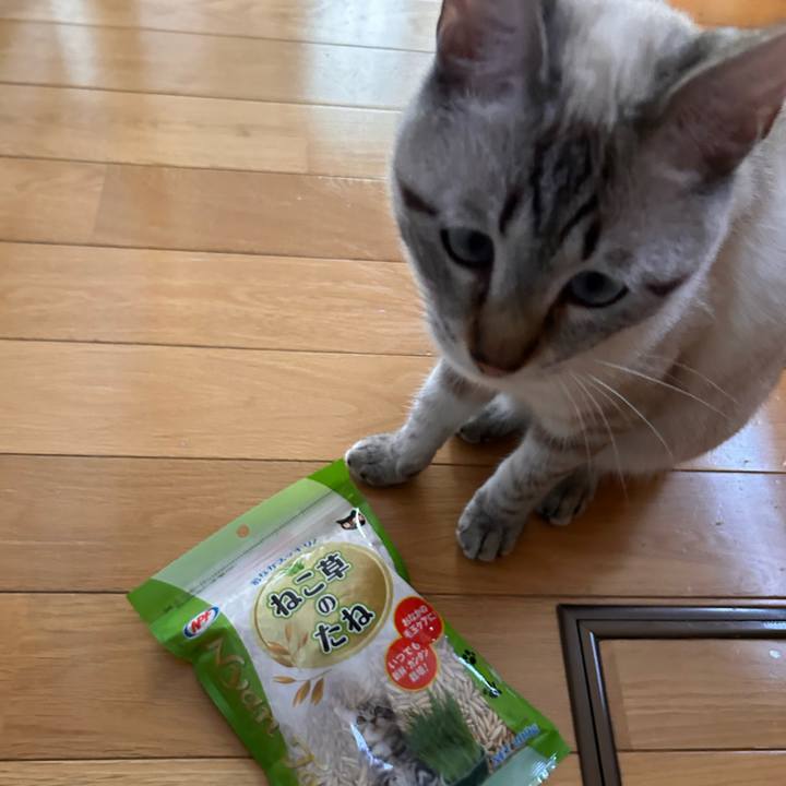 25cd26e8 0dae 4b99 82b3 ad81eedeab54 1749109459917