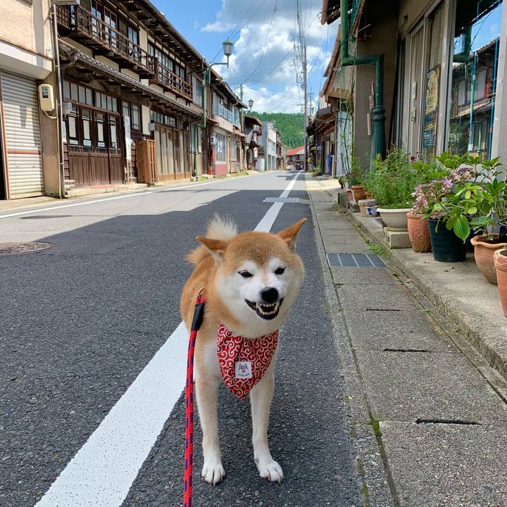 25cd4bc5 8d9b 4575 89ad 2075efeecf8d 1657699934541