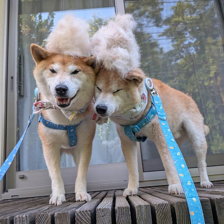 25cd5c3d 4d1e 496c a535 98313cf9b16f 1752150629468