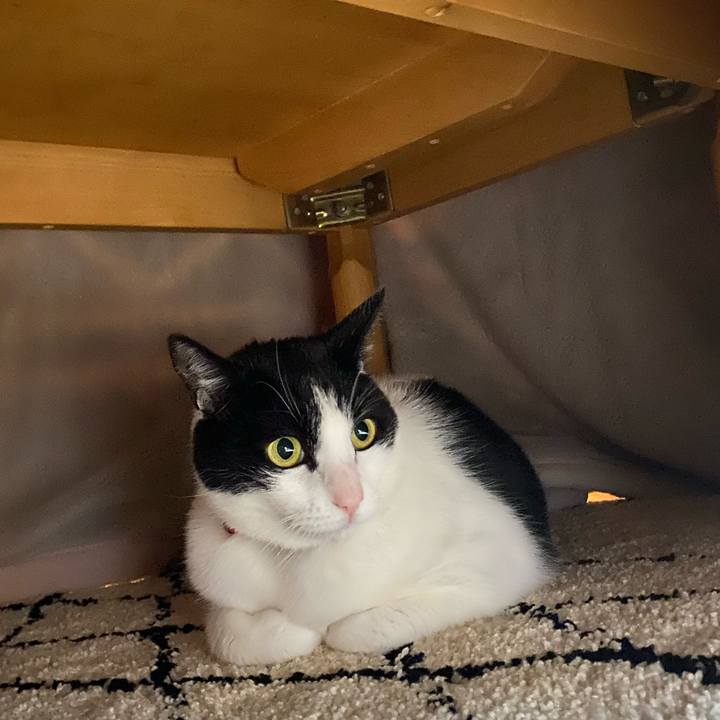 25cd7708 d6f7 443a 8867 6d680fb95180 1671931214307