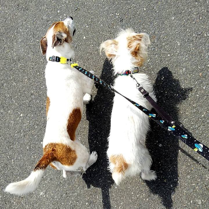 25cd9b78 1ed7 48d6 b0e1 3e23d5761786 1557635103695