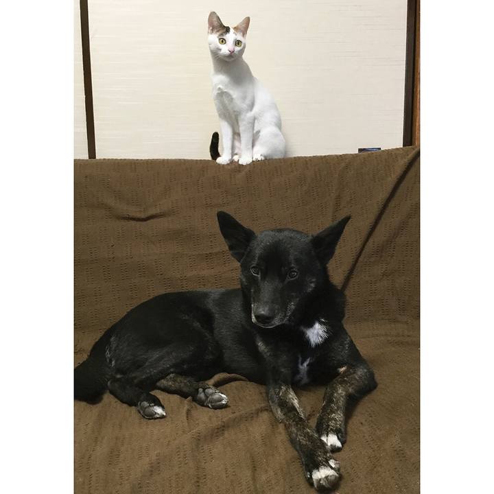 25cdae51 03e0 4ecf acef d12a3136f36b 1561721698255