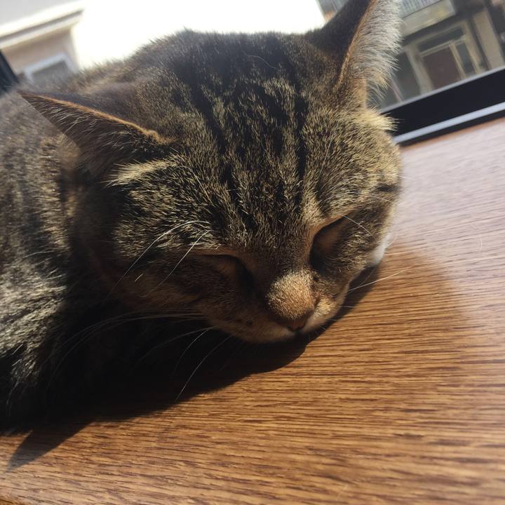 25cdaebb 4ac4 4d61 a224 0476c234ee9a 1555735129206