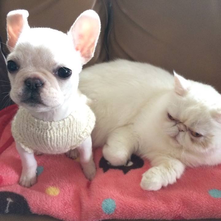 25cdc0f3 a8f9 4069 a7bb 5123cbc046ca 1769080250786