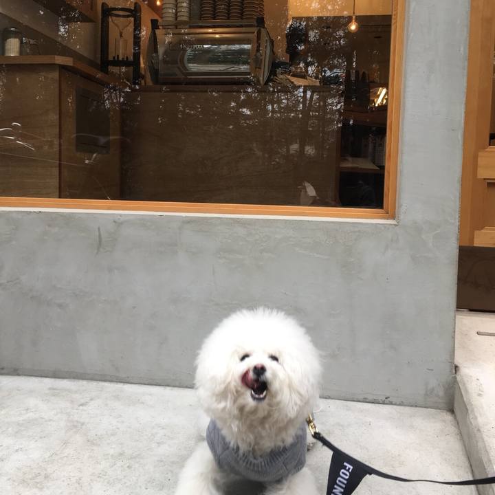 25cdd320 f527 4041 8a02 db7c06a1af5c 1519532350187