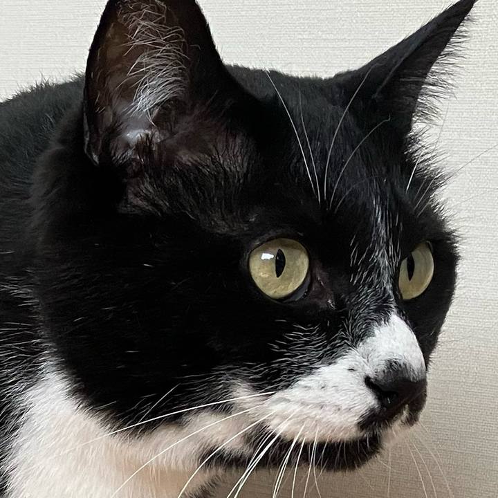 25cdd8aa 994a 487f 878b 774bd5cb6ceb 1757126466196