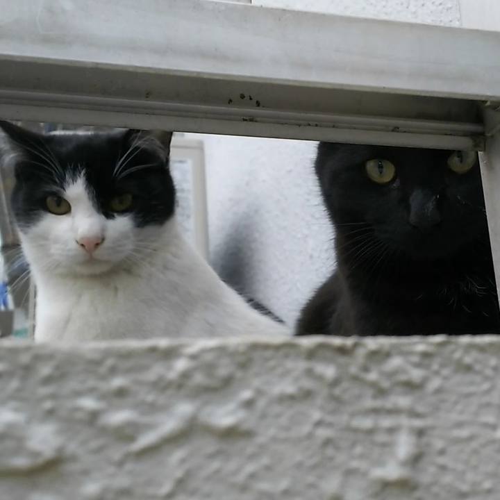 25cdea93 fb05 431d b612 0a54ef8aeb3a 1551255419177