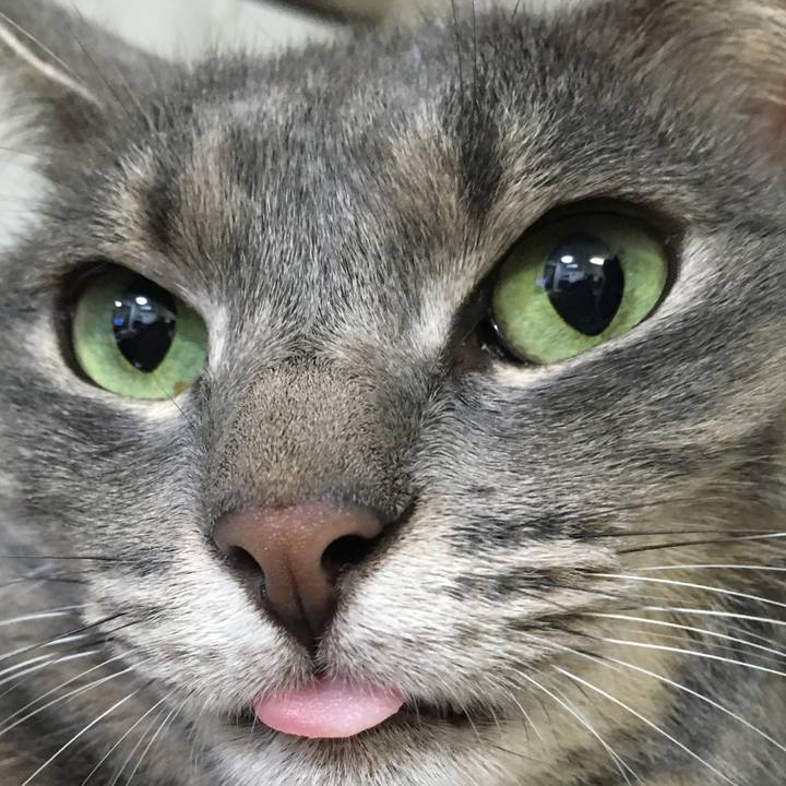 25cdf982 442d 48c2 a062 2d1afecbae70 1594426646058