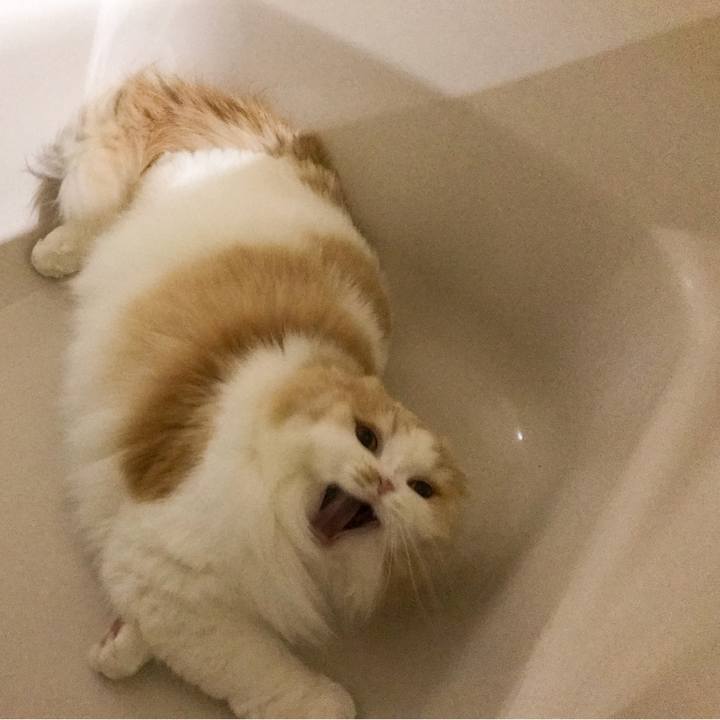 25ce0d71 5133 4395 94d1 37ca17e060ed 1513426462886