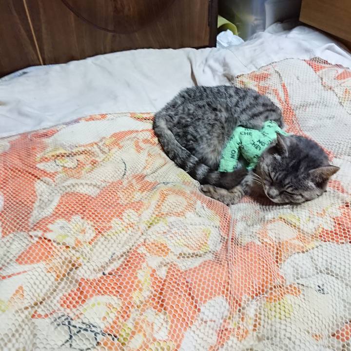 25ce1b48 0692 4158 88a6 a9f82ca32246 1587297430899