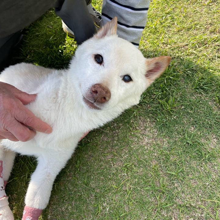 25ce56f6 d642 45ce b310 133744899480 1683643120442