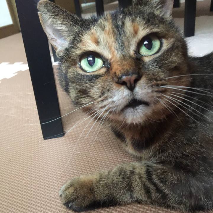 25ce6dd9 7529 41f7 beb7 ace7340796e0 1588133505973