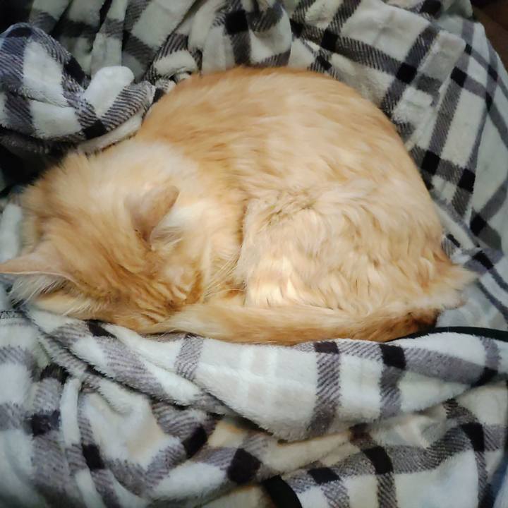 25ce780c 94d8 45fc b679 d214c15ab418 1702342571709