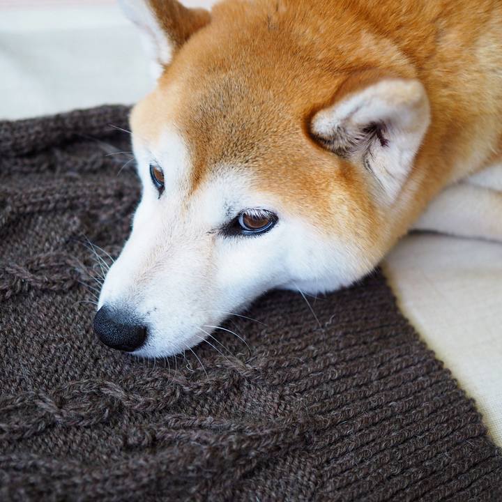 25ce7e29 6250 4467 8458 6a8e84e1cbec 1592663438949