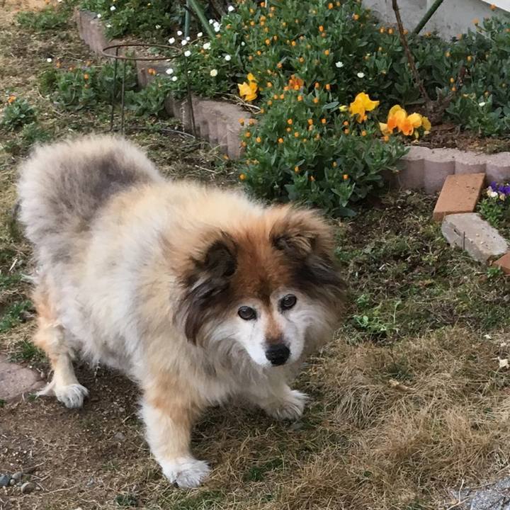 25ce8b30 2f73 4309 bdf5 f7998fe8e238 1609746490762