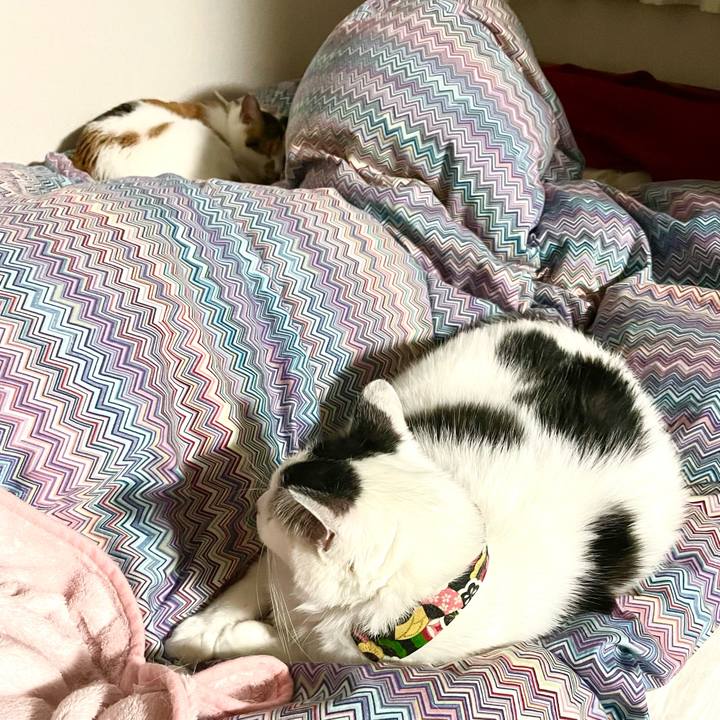 25cea7eb 9374 420b a21e cd188d96030c 1634741126625