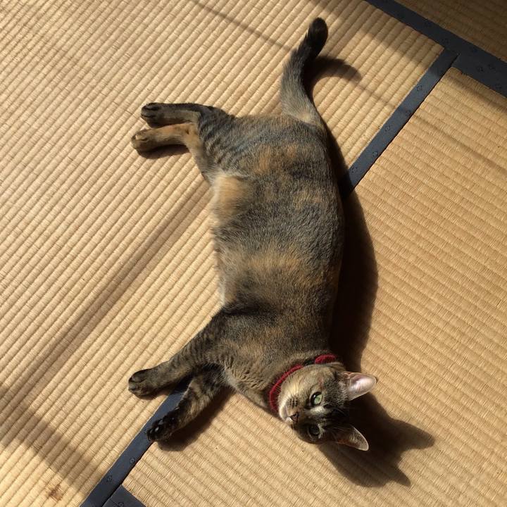 25cef714 40df 4293 bed4 3b57bb7f2701 1602816786091