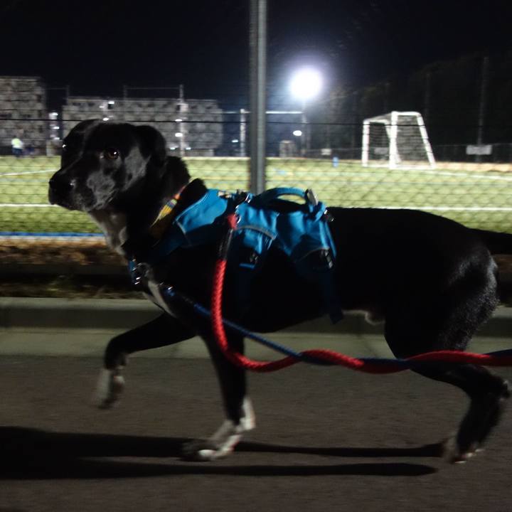 25cef9af d4e9 486e ba07 7bc111e13047 1611242626023