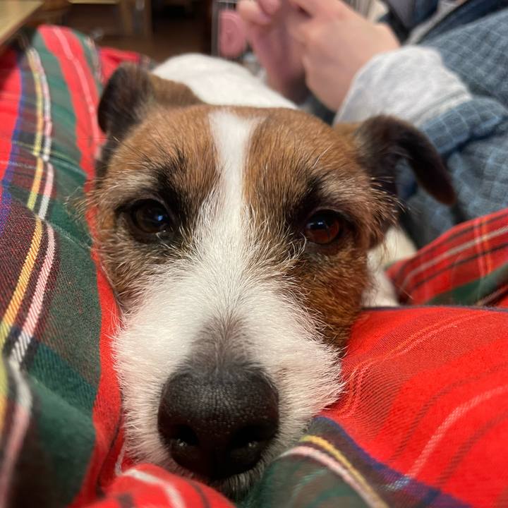 25cf32f2 e165 452b 9ee9 bbb7849bc12f 1767238432357