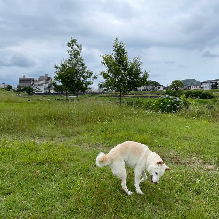 25cf618a f296 40b9 b58c 8f7001abe2e6 1654688536796