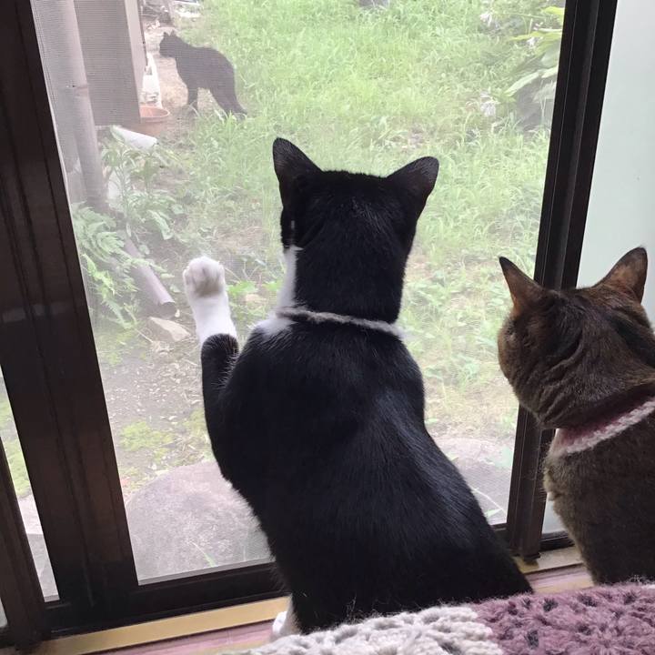 25cf77a9 7c97 4953 84a6 bc64be01732e 1657107292229