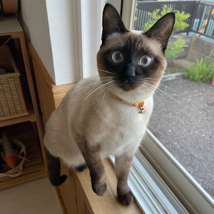 25cf8676 cfef 47de 87e0 db4c00054698 1719863330824