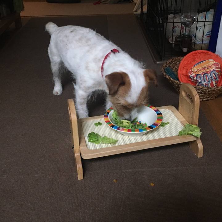 25cf8a68 43ff 4dbc bd0b 9948f6139cb1 1556060697366