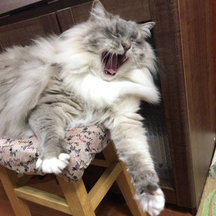 25cfb197 8c49 4ec0 abc5 3a63a83a57f2 1523486646373