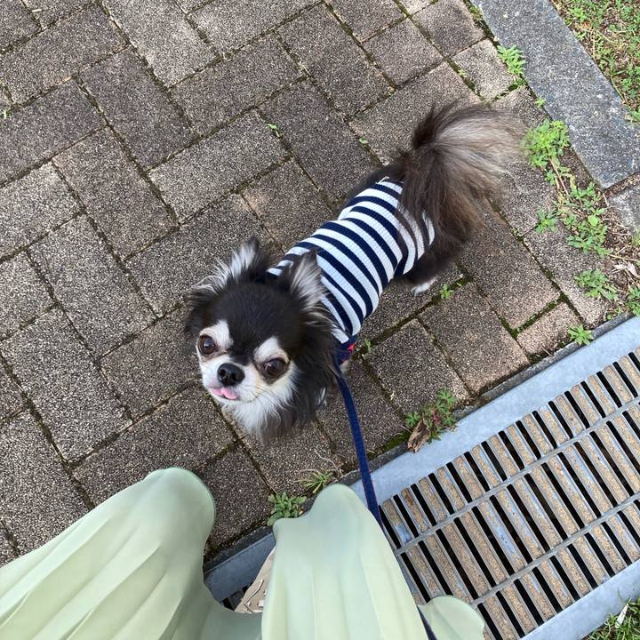 25cfc3ec 9cff 49aa 82d7 476add1f5d3a 1714321097556