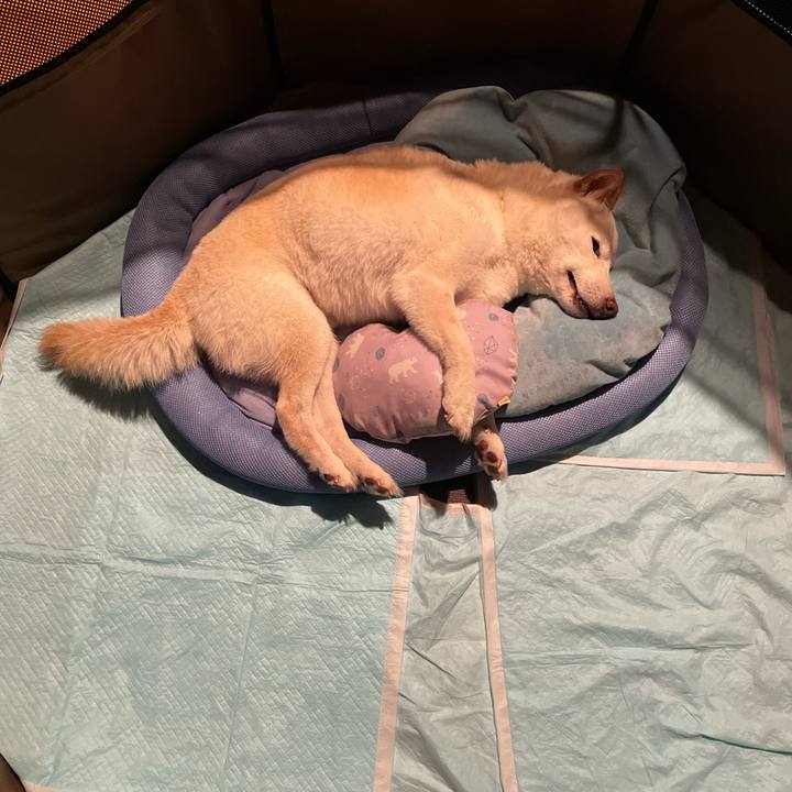 25d0211b 11a6 4d45 b04e c5248a4dc75f 1652378428109