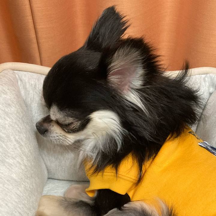 25d02332 f25f 470d 8519 8399bafe8f0a 1679842883988