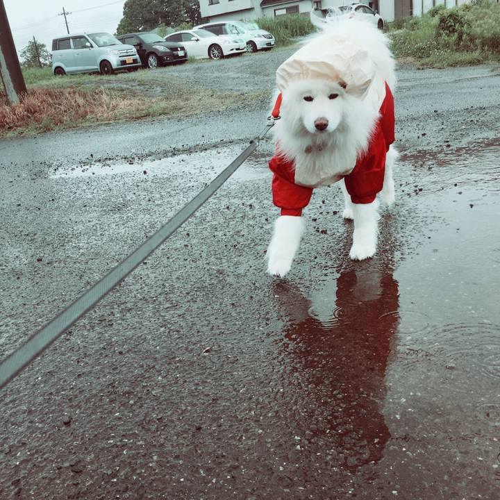 25d09530 be67 4756 a5e0 292119b9a801 1525945973741