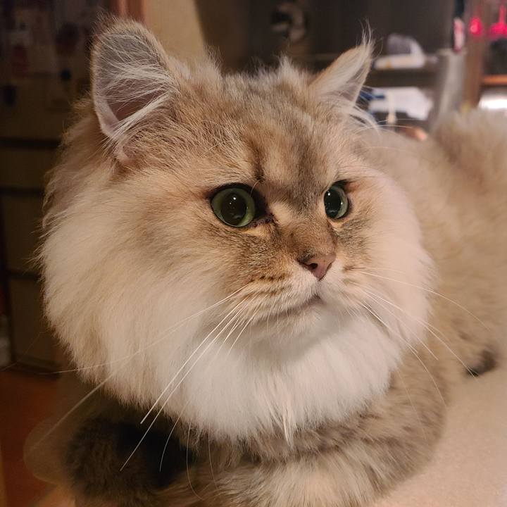 25d0bbfa fdc2 43ed acd7 3a736b6bfee4 1603327964819