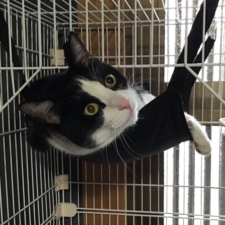 25d0cc71 9575 43f7 9472 3b4660037b8b 1705717578984