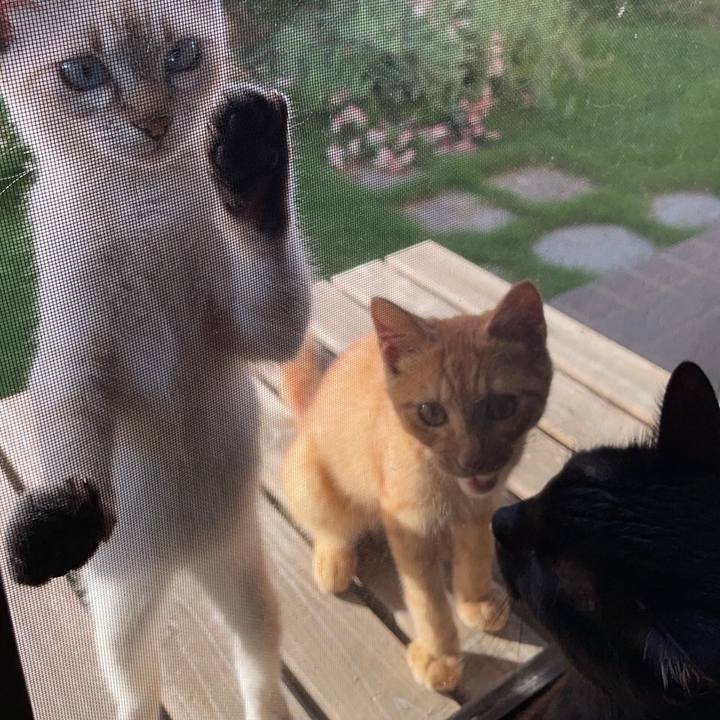 25d10e25 05ae 4bf2 9e79 abb646c9c2ca 1726355975524