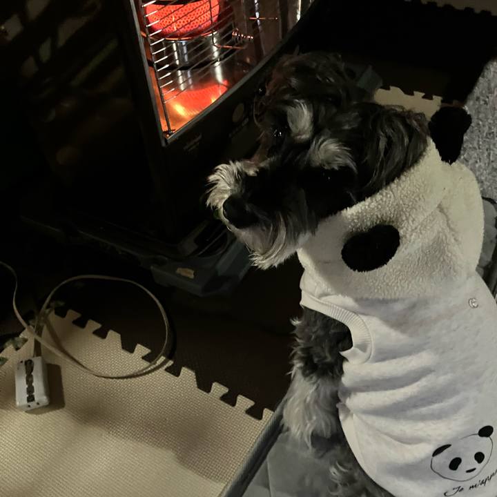 25d11220 29c2 4473 9c94 3d153399ee75 1771537710455