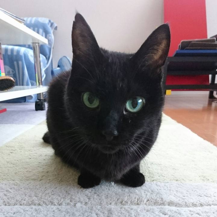 25d13806 9baa 454b 8098 18c063550e28 1508845958300