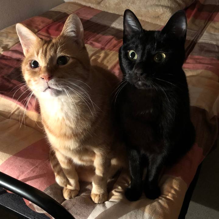 25d1eafc bc74 41fc 8f22 5df3aea81edc 1669725525996