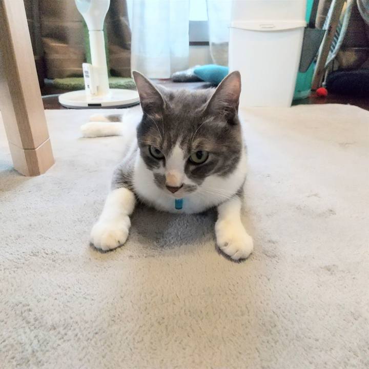 25d1f6a4 9edb 4c9a 98d6 2b78633a8fba 1620338056335