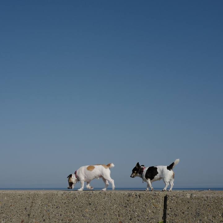 25d2143a 91f7 43c0 bb59 d9c396a6a707 1559539713659