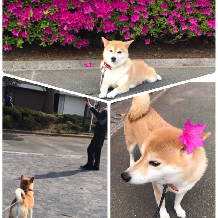 25d23e30 8093 4f64 ac98 d6b863ca443e 1556934939535