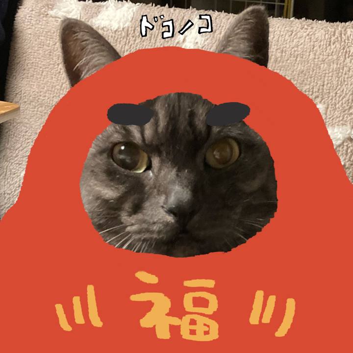 25d2654a 7b9e 47f8 9468 4adf1707d3f1 1771927615822