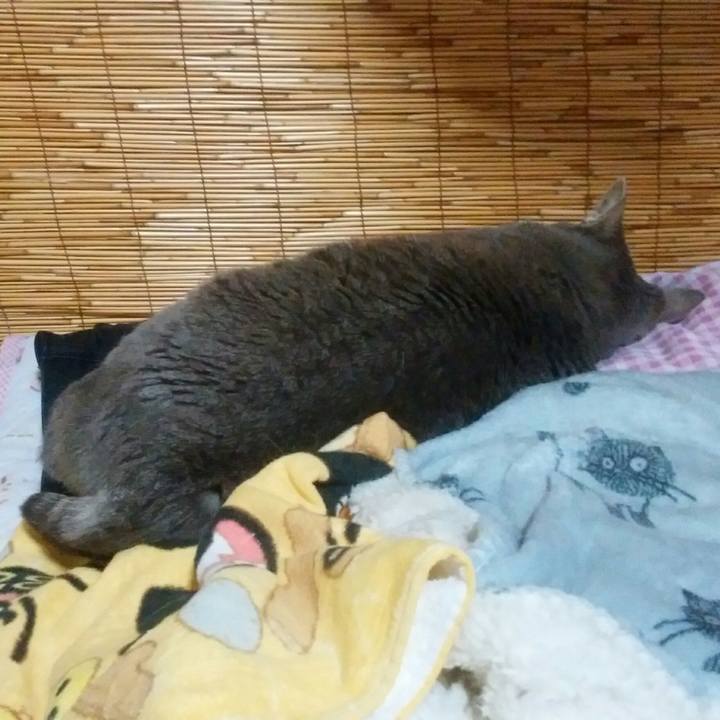 25d26eb5 8990 4cf5 9061 0a20cc920f8c 1523041500121