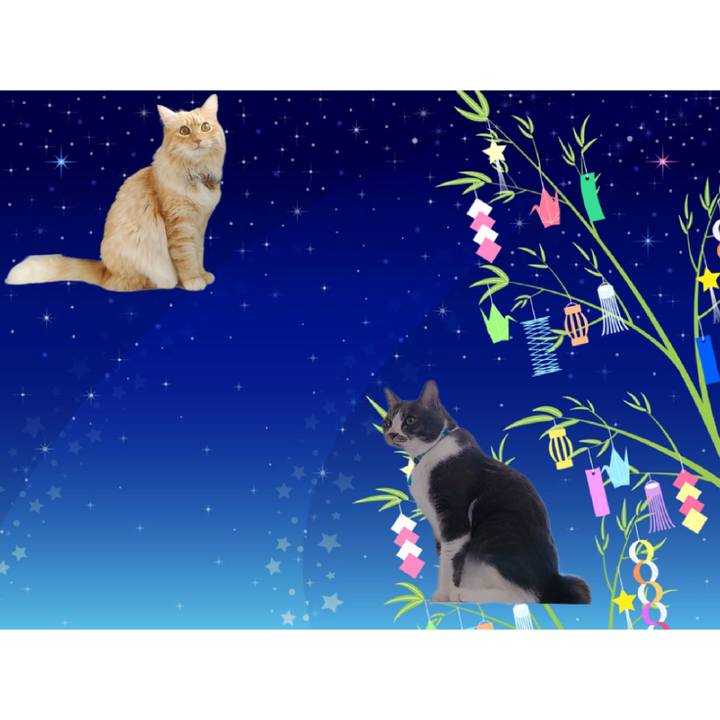 25d2c9a4 b203 4577 82c4 c03b27136b48 1657187769455