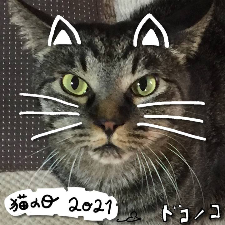 25d2dbb1 e75f 4b04 a47a 2d1c41d01ea6 1613990337224