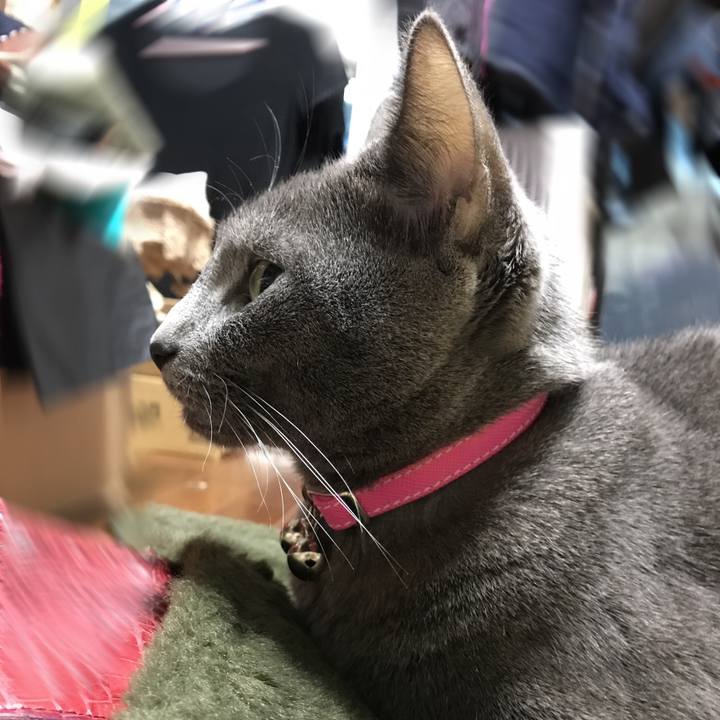 25d2e77a aa77 4d50 a378 0258a53b91bd 1518340515882