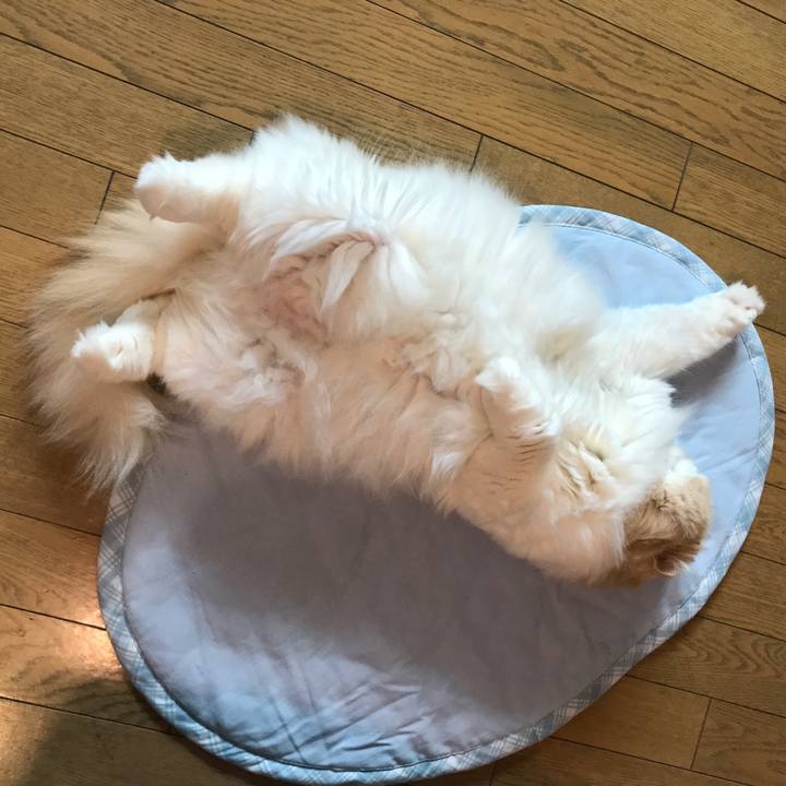 25d2ed4e b242 4d0d 9270 e47483cf1234 1531055407659