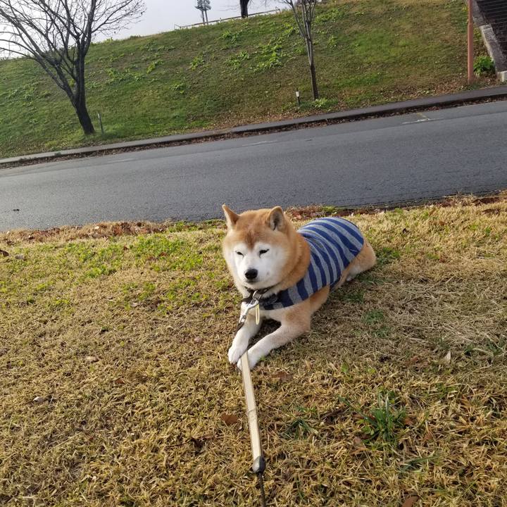 25d2fedb 6cc6 4489 91d4 7375aec607ac 1669961584050