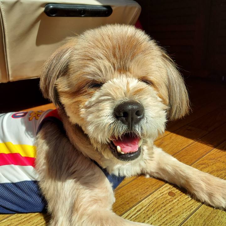 25d3390e 8e3d 43e7 9a80 f87dfa23a12e 1649119292653