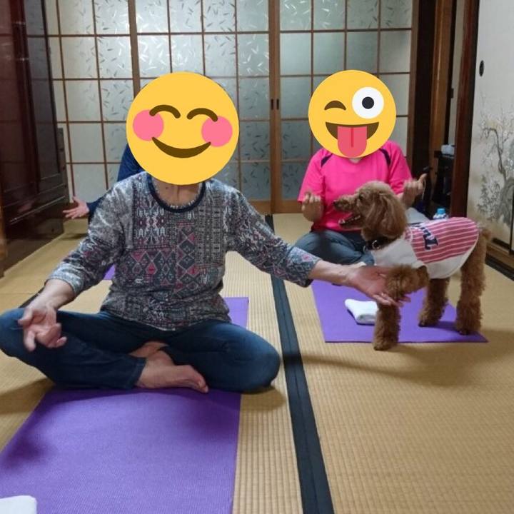 25d375c3 105f 462f b6bf 62aae3050469 1557920919783